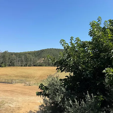 Dans Ferme Proche Antisanti
